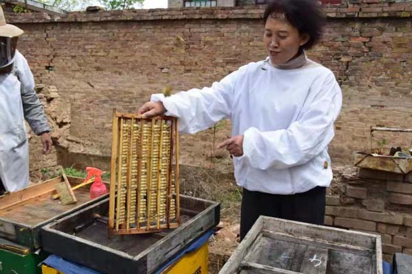 蜂場風(fēng)采